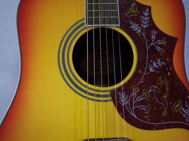 Hummingbird Picture 13